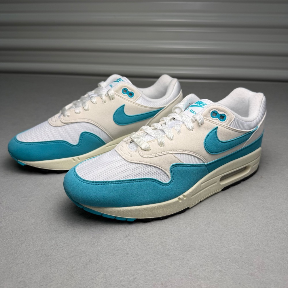 Nike Air Max 1 Dusty Cactus White Womens 11 Mens 9.5 DZ2628-107